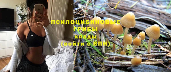 гашик Алзамай