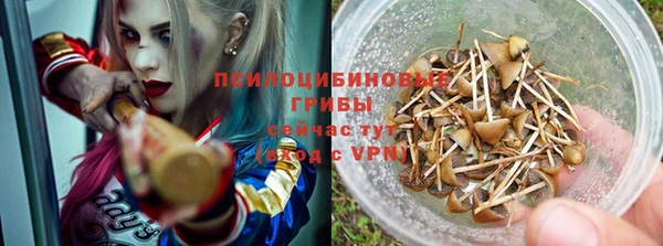твердый Алексеевка