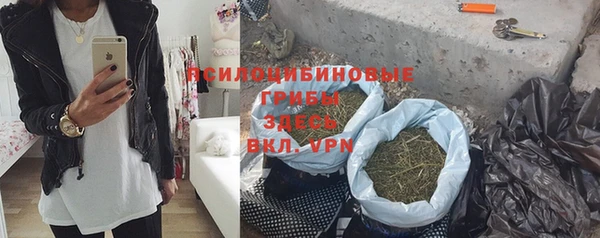 твердый Алексеевка
