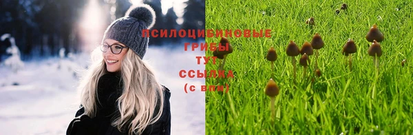 твердый Алексеевка