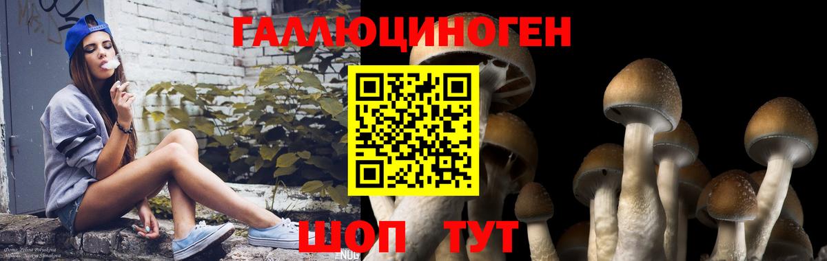 Когалым  Галлюциногенные грибы ЛСД  Вход с VPN 